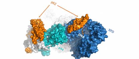 Schaden erkannt - Gefahr gebannt