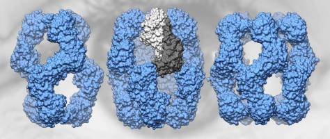 Schutzpatron des Auges