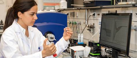 Tödliche Überproduktion von Antikörpern