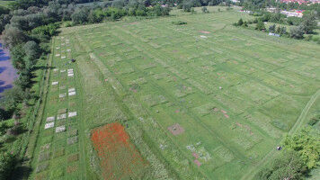 Versuchsfl�chen auf dem Pr�fstand