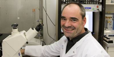 Virale Infektionsverläufe besser verstehen