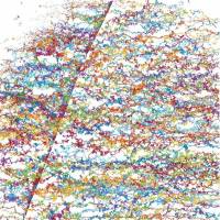 Wanderung durch die Zellmembran