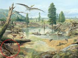 Winzige Fossilien von großer Bedeutung