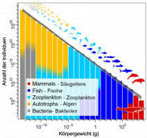 Der Mensch bricht ein Naturgesetz der Meere