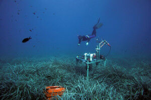 Ein nat�rlicher CO2-Speicher dank symbiotischer Bakterien