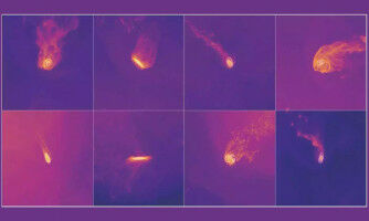 Gesucht werden: Quallen-Galaxien