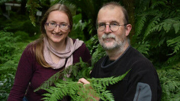 Time travel through the evolution of terrestrial plants