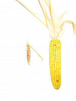 Alle Wege f�hren nach Rom