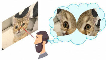 Aus den Augen, schnell aus dem Sinn