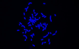 Cancer research learns from space travel