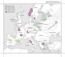 Die mittelalterliche Pestpandemie war weniger t�dlich als bislang gedacht