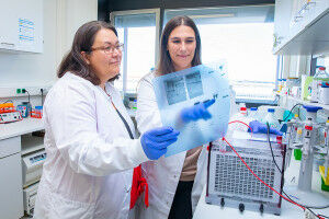 Die Rolle der sechs Varianten