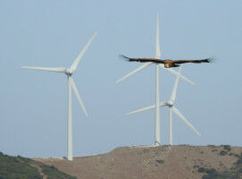 Flying into a clean and safe future