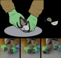 Fr�he Steinwerkzeuge waren keine Raketenwissenschaft