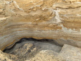 Neandertaler des Nordens