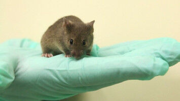 Verantwortungsvoll und transparent