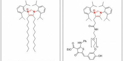 Chemiker entwickeln neuen Ansatz in der Krebsforschung