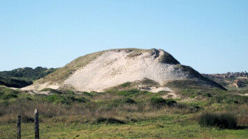 Familiengeschichte am Muschelh�gel