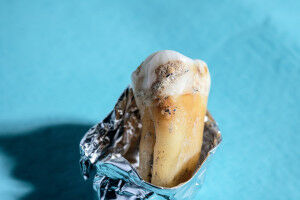 Steinzeit-Molek�le zum Leben erwecken