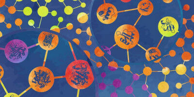 Studie vergleicht 'De-novo-Proteine' mit zufällig erzeugten Proteinen