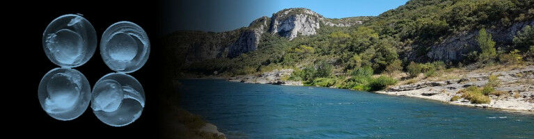 Toxicity of drugs released into waterways partly depends on acidity