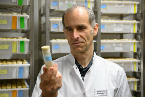 Von der Zelle zum Patienten: Neuer Forschungsbau 'MIC' nimmt Arbeit auf