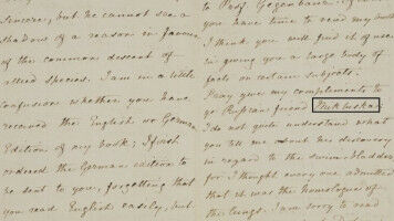 Was war zuerst da - Schwimmblase oder Lunge?