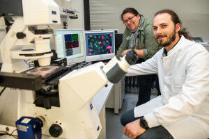 Wie sich Zellen gegen Adenoviren wehren