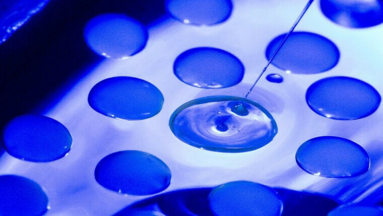 Experiment mit Bakterienzellen an einem Mikroskop. Foto: Jens Meyer (Universität