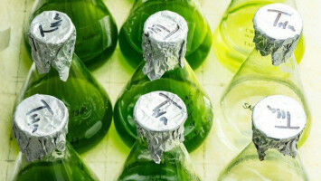 How green algae and bacteria together contribute to climate protection