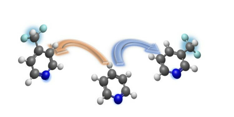 Mit der von ihnen entwickelten Methode können die Chemiker eine Difluormethylgru
