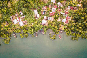 The cultural evolution of collective property rights