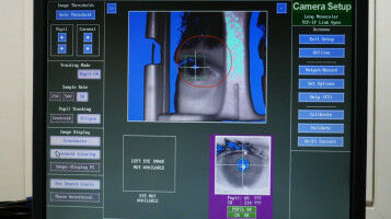 Ursache f�r Antriebslosigkeit bei Depression entdeckt