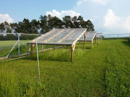 Extreme and prolonged drought causes unprecedented productivity loss