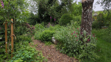 How species-rich is your garden?