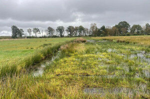 Landnutzung zwischen Biodiversit�t, Ern�hrung und Klimaschutz