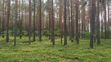 Menschen k�nnen Biodiversit�t wahrnehmen