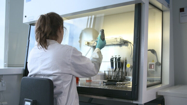 Zellkulturarbeiten in der Abteilung Molekulare Biochemie Bild: Universität Stutt