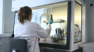 New CRISPR method helps to better understand cell functions