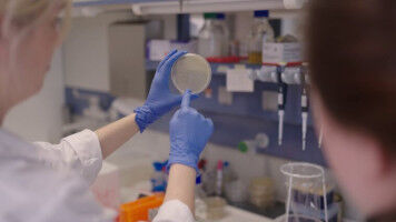 Notfall-Schalter: Wie Bakterien blitzschnell auf Hunger reagieren