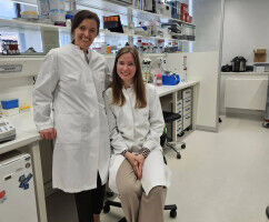 Obesity causes lungs to age prematurely