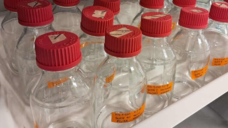 Groundwater samples in the laboratory in which bacteria of the Candidate Phyla R