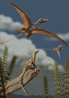 Pterosaurs and birds developed flight-ready brains in different ways