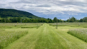 R�ckgang von Insekten-Biomasse geht mit Verlust von Arten einher