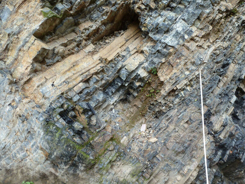 Row of embedded ’cherts’ in an outcrop in Southeast China. Photo: Mi