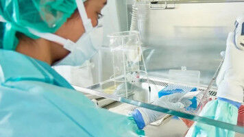 Tuberkulose: Neue Immunmuster au�erhalb der Lunge entdeckt