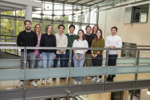 Unheilvoller Fehlalarm in der Niere