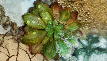 Anpassen oder Aussterben