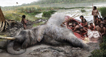 Elephant meat aplenty for Neanderthals 125,000 years ago