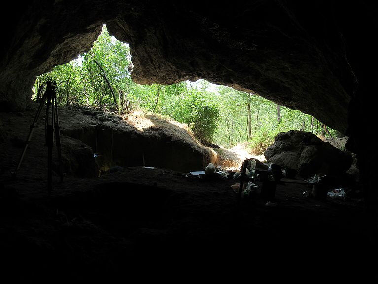 Life Sciences - Entrance to Pe¨turina Cave in Serbia, where a Neanderthal tooth genetically analyzed in this study was discovered. Life Sciences